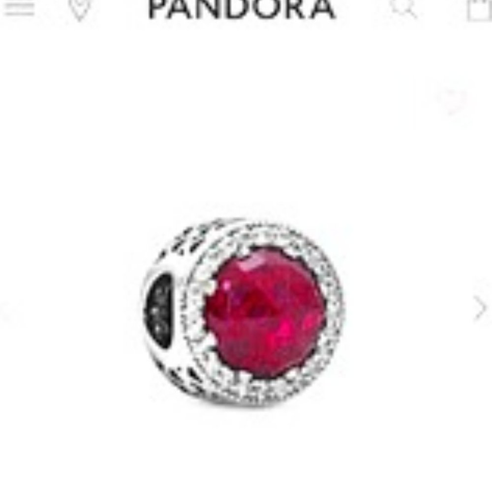 BRAND NEW Pandora Charm!
